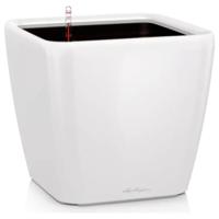 Lechuza Quadro Premium 16140 Plantcontainer Wit