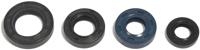 ATHENA Motorshield crf 150 f, 03-06,