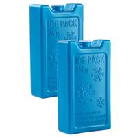 Plasticforte 250 grams koelelementen - 2x stuks - 13 x 7 x 3 cm - blauw - kunststof