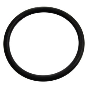 O-ring 17970