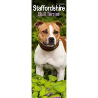 Staffordshire Bull Terrier Kalender 2026 Slimline
