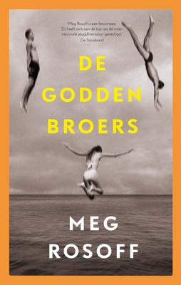 De Godden broers (Hardback)