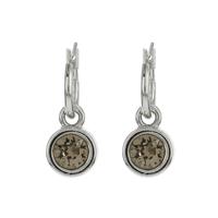Biba Hang Oorbellen met Swarovski Steentje Greige