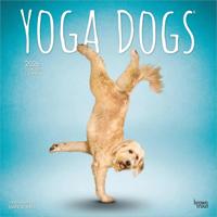 Yoga Dogs Kalender 2026