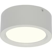 LED Downlight Rond 15W Natuurlijk Wit 4200K Mat Wit Ø180mm