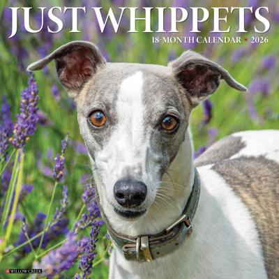 Whippet Kalender 2026