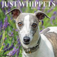 Whippet Kalender 2026