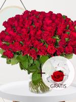 100 rode rozen - Red Tacazzi - 55 cm + Eeuwige roos voor Valentijnsdag