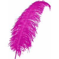 Carnaval verkleed veer/struisvogelveren - 1x - roze - 50 cm - Carnaval - Sierveren/charleston veren