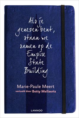 Als je genezen bent, staan we samen op de Empire State Building - Marie-Paule Meert - ebook