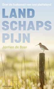 Landschapspijn - Jantien de Boer - ebook