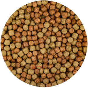 Vivani Multi Season 6mm Koivoer - Immuunversterkend voor Alle Seizoenen, 15kg