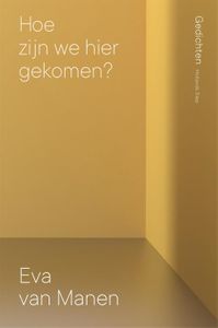 Hoe zijn we hier gekomen? - Eva van Manen - ebook