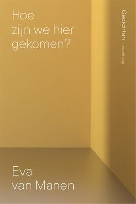 Hoe zijn we hier gekomen? - Eva van Manen - ebook