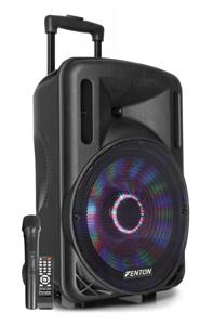 Fenton FT12LED karaoke speaker 700W 12" met LED verlichting