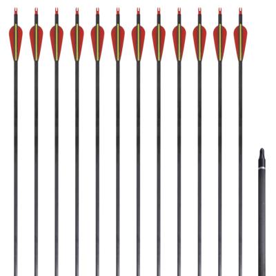 VidaXL Pijlen voor recurveboog standaard 30" 0,76 cm koolstof 12 stuks
