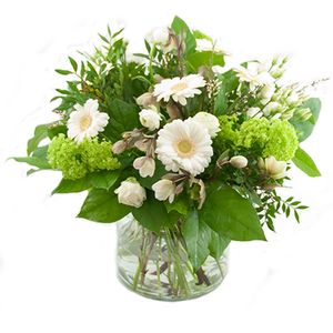 Witte voorjaarsbloemen