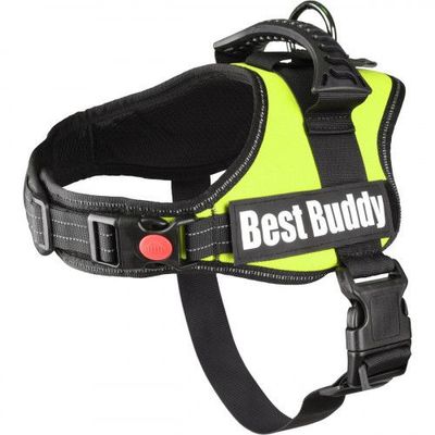 Hondentuig Best Buddy Pluto Neon Groen L 70 - 90 cm x 50 mm Flamingo Groen Hondentuig Best Buddy Pluto Neon Groen L 70 - 90 cm x 50 mm Flamingo Groen