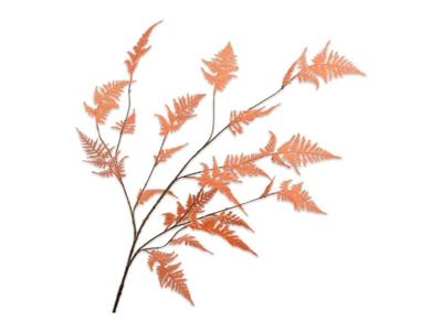 Asparagustak l141 cm oranje - Silkka