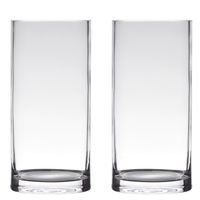 Set van 2x stuks transparante home-basics cylinder vorm vaas/vazen van glas 35 x 12 cm