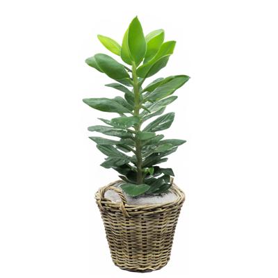 Planten/bloemen mand met hengsels - rotan gevlochten -D42 x H32 cm -plantenpot/plantenmand