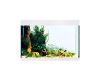 Oase StyleLine 175 aquarium wit