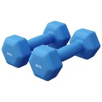 Vinyl halterset 2 x 2 kg Vinyl halterset 2 x 2 kg