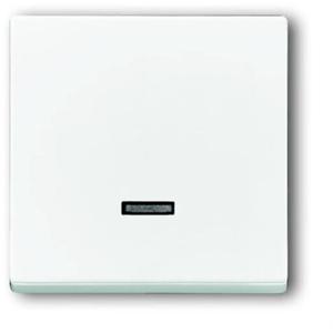 Busch-Jaeger 6543-84-101 Ingangsmodule Zonder opdruk Verkeerswit, Wit 1 stuk(s)