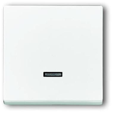 Busch-Jaeger 6543-84-101 Ingangsmodule Zonder opdruk Verkeerswit, Wit 1 stuk(s)