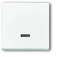 Busch-Jaeger 6543-84-101 Ingangsmodule Zonder opdruk Verkeerswit, Wit 1 stuk(s)