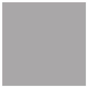HSK RenoDeco designpaneel 100x210cm 3mm dik, hoogglans-effen titan-grijs