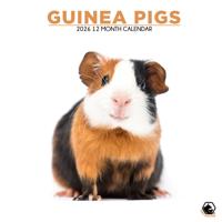 Cavia Kalender 2026