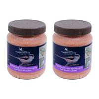 Vogelbescherming Vogelvoer - 2x - Vogelpindakaas - bosvruchten - 330 gram