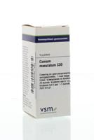 VSM Conium maculatum C30 4 Gram
