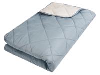 LIVARNO home Plaid 150 x 250 cm (Blauw) LIVARNO home Plaid 150 x 250 cm (Blauw)