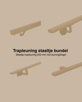 Set staaltjes trapleuningen goud