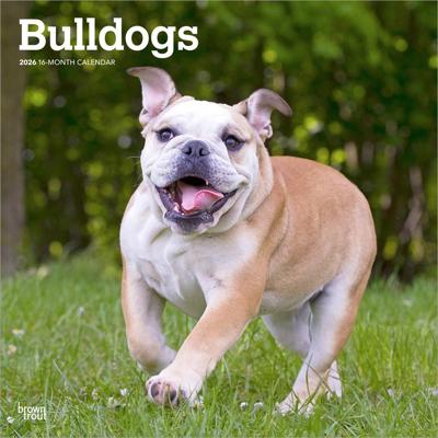 Engelse Bulldog Kalender 2026