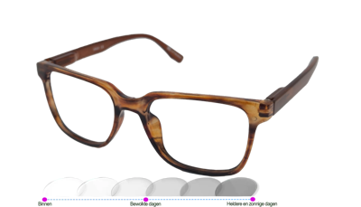 Leesbril Vista Bonita Cubo Photochromic-Amber Dawn-+3.50