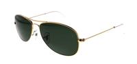 RB3362-001-56 Zon goud