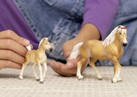 schleich HORSE CLUB Haflingerveulen - 13951 - thumbnail