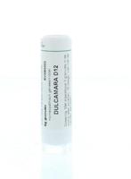 Homeoden Heel Dulcamara D12 6 Gram