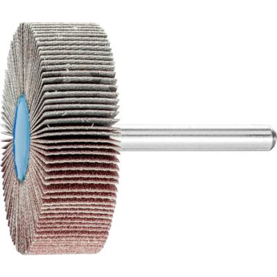 PFERD TOOLS 44506156 Lamellenschijf Diameter 50 mm 10 stuk(s)