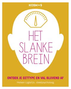 Het slanke brein (Paperback)