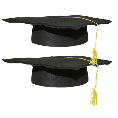 Geslaagd thema hoedje voor kinderen - 2x - verkleed feestartikelen - afstudeer hoedje - zwart Geslaagd thema hoedje voor kinderen - 2x - verkleed feestartikelen - afstudeer hoedje - zwart