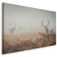 Schilderij - Herten in de mist, 4 maten, premium print, wanddecoratie - thumbnail