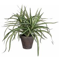 Mica Decorations Kunstplant - Dracaena - groen - in pot - 34 cm