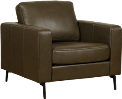 leren moderne fauteuil Match - ( leer)