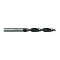 Milwaukee Houtboren - DIN 7487 E BP 12 x 151-1 pc - 4932363660