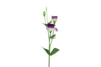 Decostar Lisianthus steel 67 cm paars