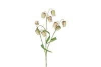 Decostar zijdebloem Fritillaria 70 cm mix